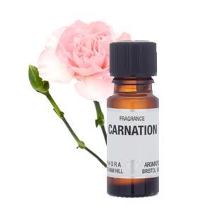 Amphora Aromatics Carnation Fragrance