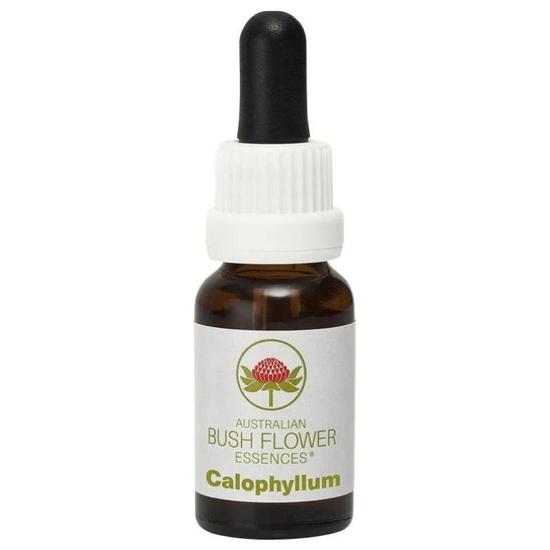 Australian Bush Flower Essences Calophyllum 15ml