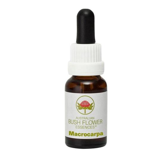 Australian Bush Flower Essences Macrocarpa 15ml