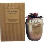 Bali Mantra Camellia Glass Copper French Vanilla Candle 500g