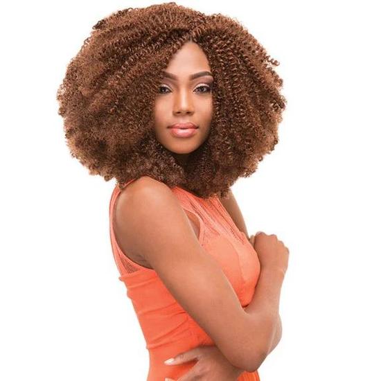 Janet Collection Noir Synthetic 2 X Nubian Braid 24 / 99J