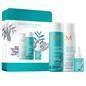 Moroccanoil Everlasting Colour Kit Shampoo + Everlasting Colour Kit Conditioner + 250ml Protect & Prevent Spray 50ml