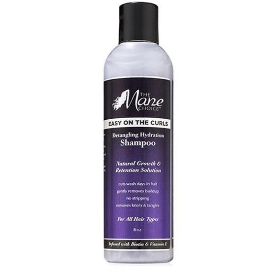 The Mane Choice Easy On The Curls Detangling Shampoo 8 OZ