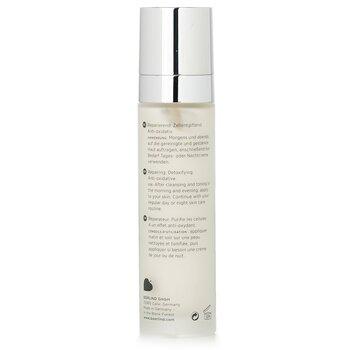 Annemarie Borlind Naturepair Detox & DNA Repair Fluid 50ml