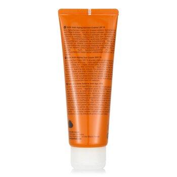 Annemarie Borlind Sun Anti Ageing Sun Cream SPF 15 75ml