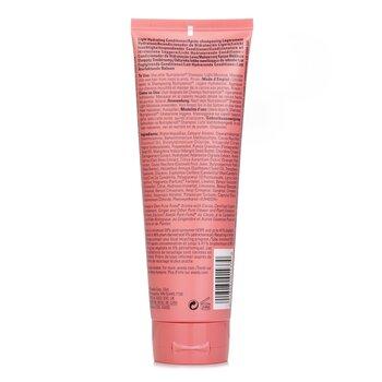 Aveda Nutriplenish Conditioner Light Moisture 250ml