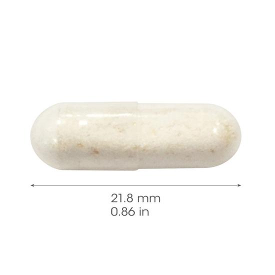 Bio-Kult Pregnea Capsules 60 Capsules