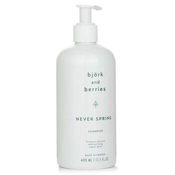 Björk & Berries Never Spring Shampoo 400ml