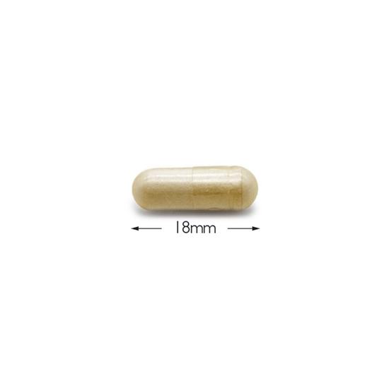 Cytoplan L-Taurine Capsules 60 Capsules