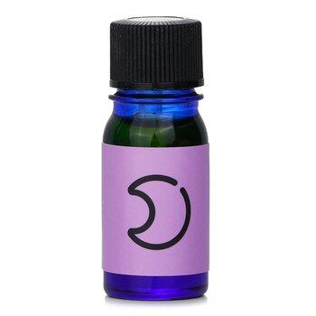 Daily Aroma Japan Daily Aroma Scene for Book