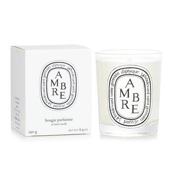 Diptyque Scented Candle Ambre Amber 190g