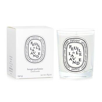 Diptyque Scented Candle Feuille De Lavande 70g