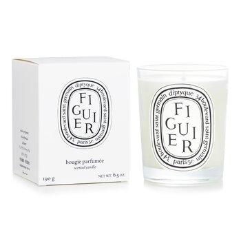 Diptyque Scented Candle Figuier Fig Tree 190g