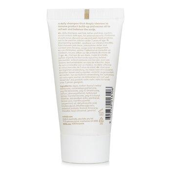 Evo Normal Persons Daily Shampoo 30ml
