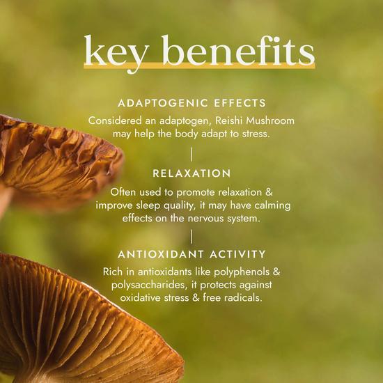 Fushi Organic Reishi Mushroom 60 Capsules