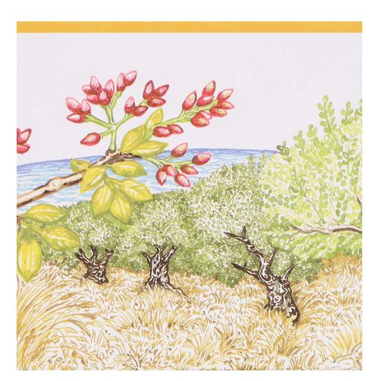Hermès Un Jardin A Cythere Soap 100g