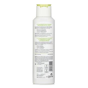 Lavera Shampoo Family 250ml