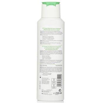 Lavera Shampoo Freshness & Balance 250ml