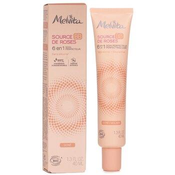 Melvita Source De Roses BB 6 In 1 Perfecting Care Golden