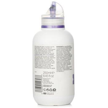 Philip Kingsley Pure Blonde Booster Shampoo