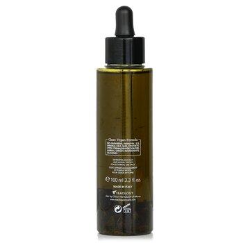 Teaology Green Tea Bancha Oil 100ml