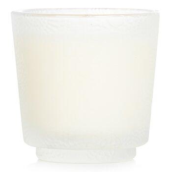 VOLUSPA Petite Pedestal Candle Spiced Goji Tarocco Orange 72g